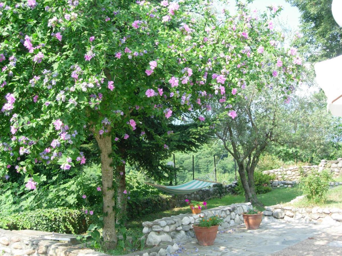 Villa Anthemia Naousa  Zewnętrze zdjęcie