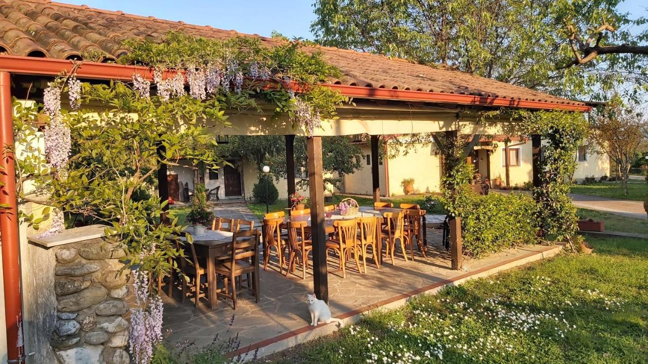 Villa Anthemia Naousa  Zewnętrze zdjęcie